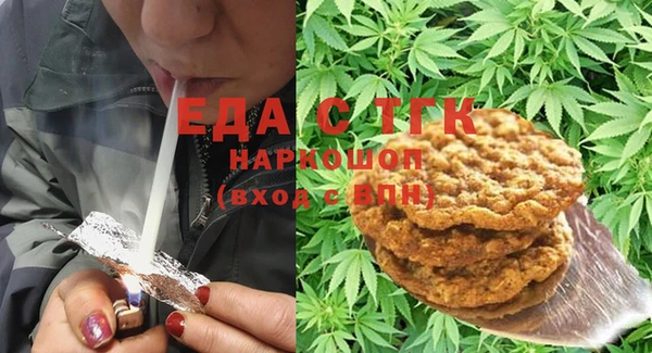 шишки Гусиноозёрск