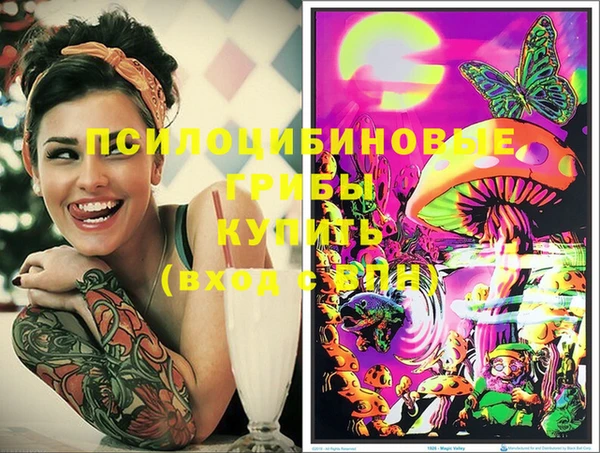 шишки Гусиноозёрск