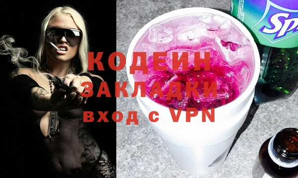 шишки Гусиноозёрск
