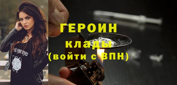 шишки Гусиноозёрск