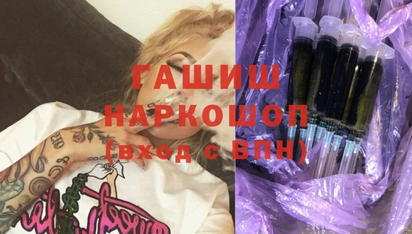 шишки Гусиноозёрск