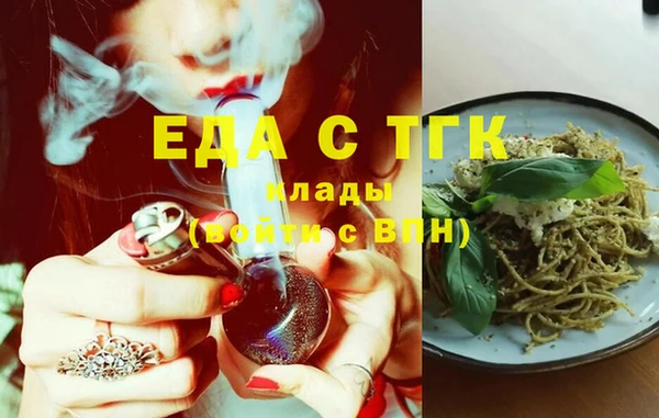 шишки Гусиноозёрск