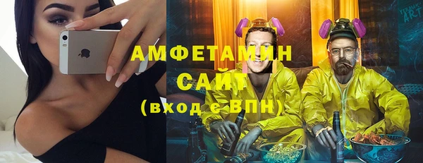 шишки Гусиноозёрск