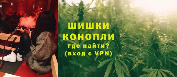 шишки Гусиноозёрск